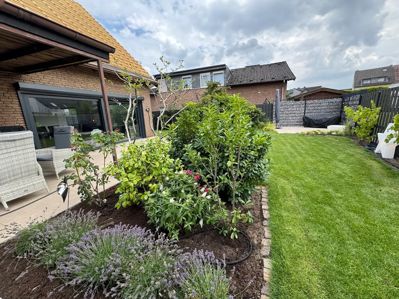 02 Gartengestaltung Rasen Monheim