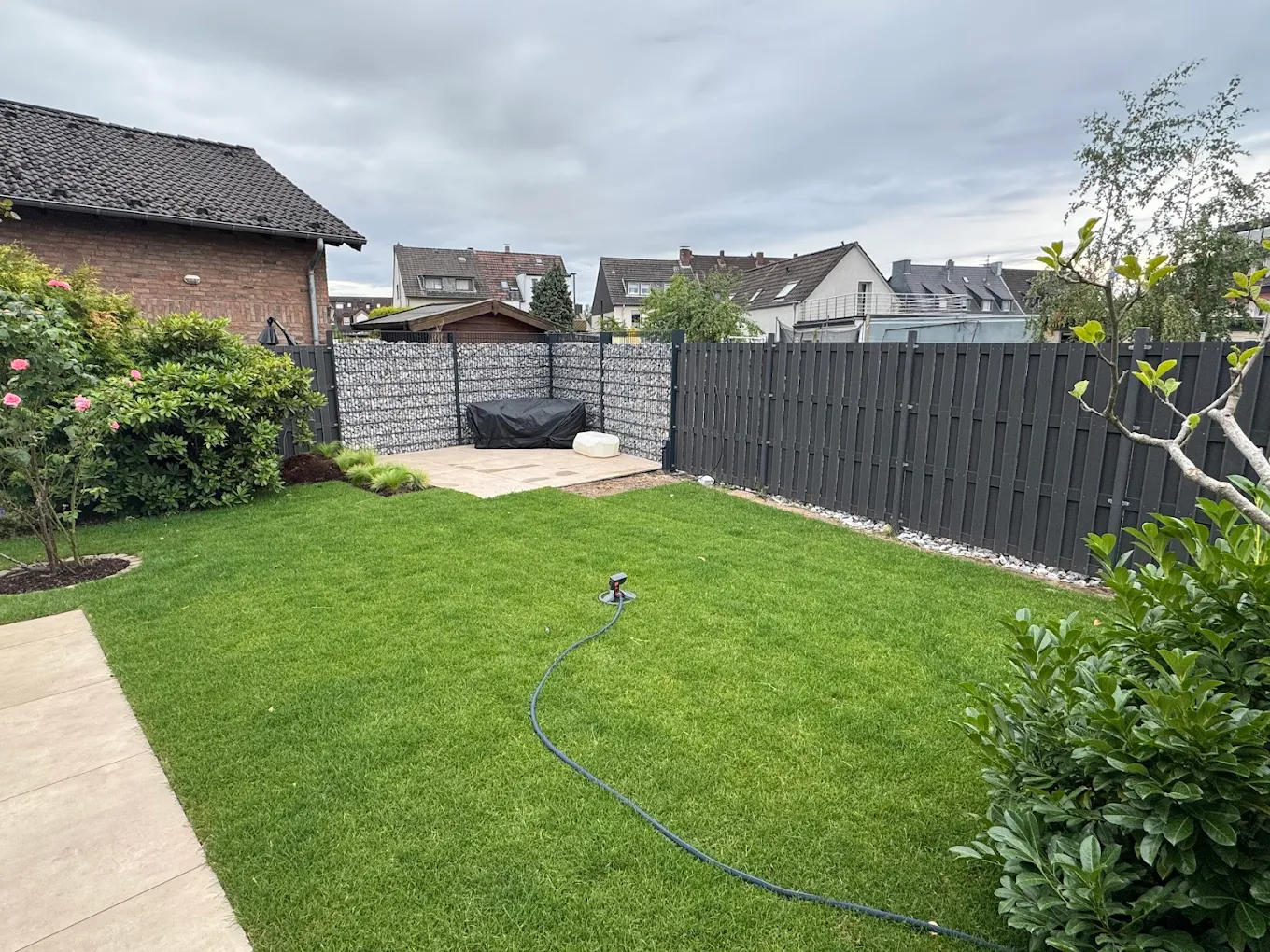 05 Gartengestaltung Rasen Monheim