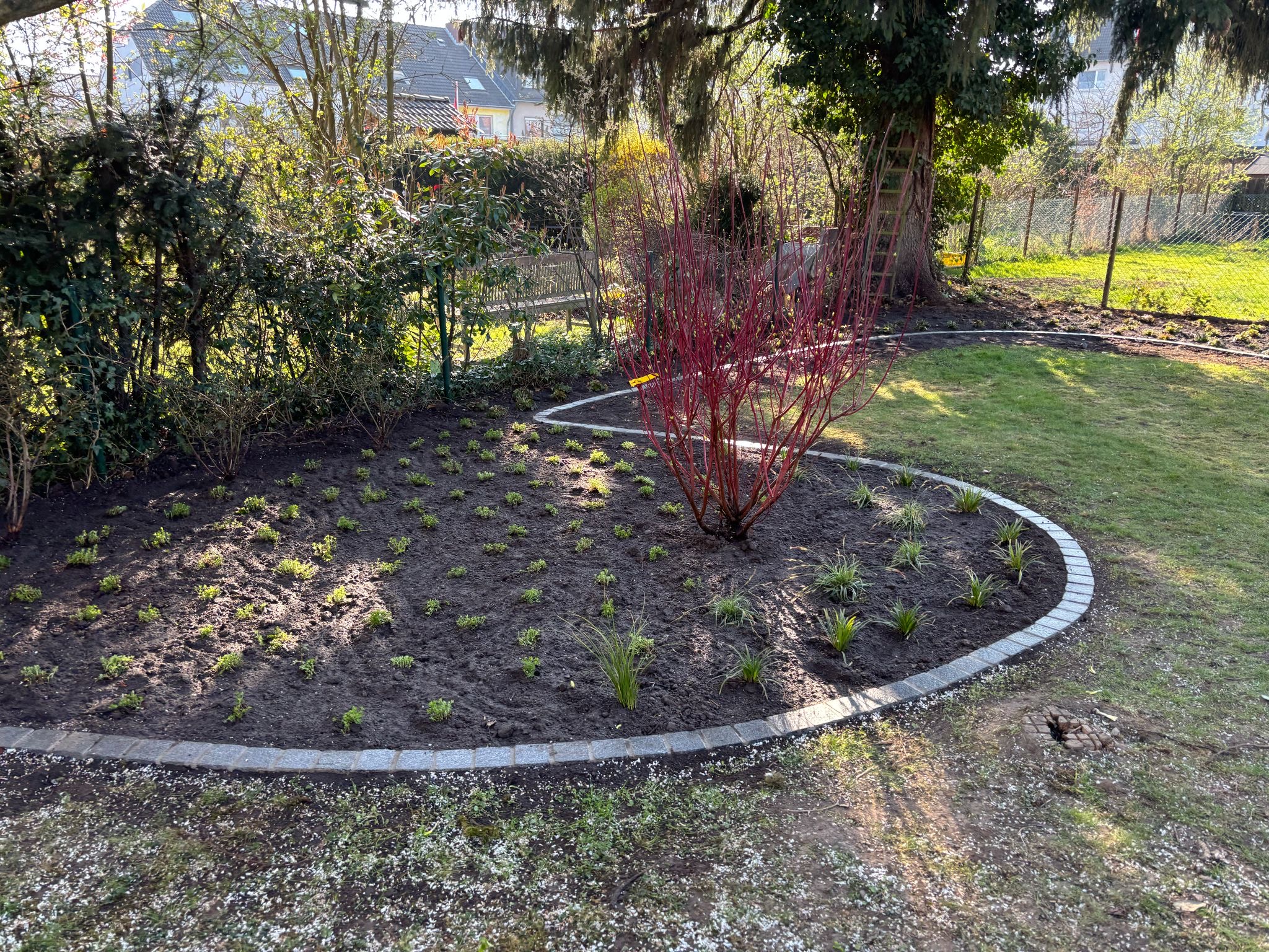 9c391edc-9cb1-4194-ac0f-ba2ba17a495c