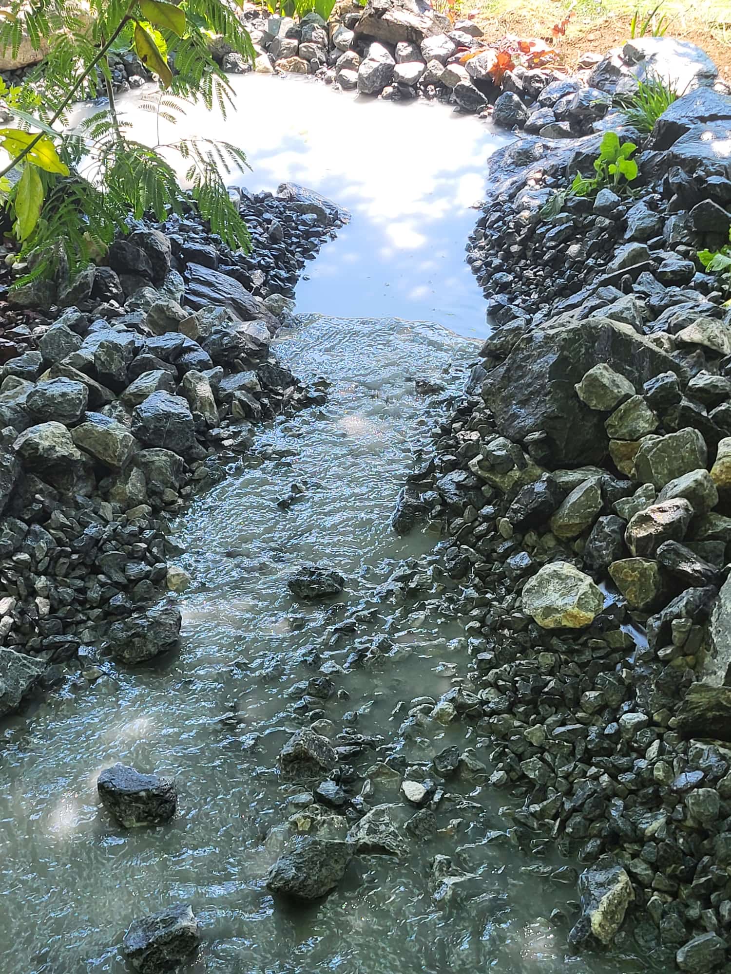 c000c5e8-f929-482b-9611-9e305bbe2e51