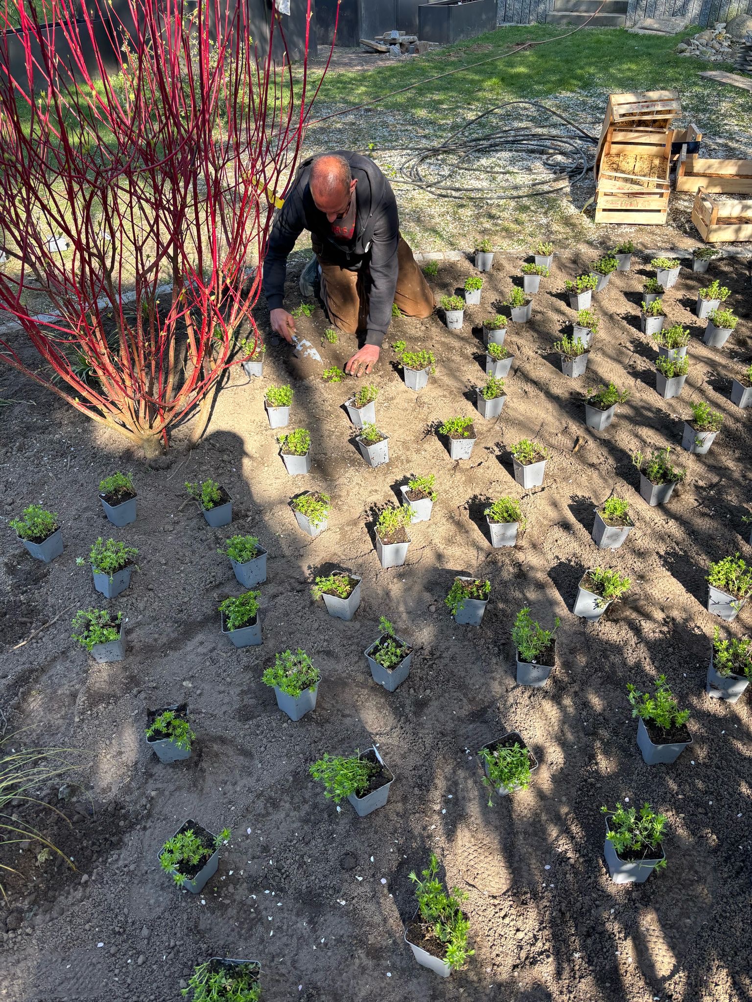 f011e463-7c6e-410f-a7b0-1d2906f0a0f4