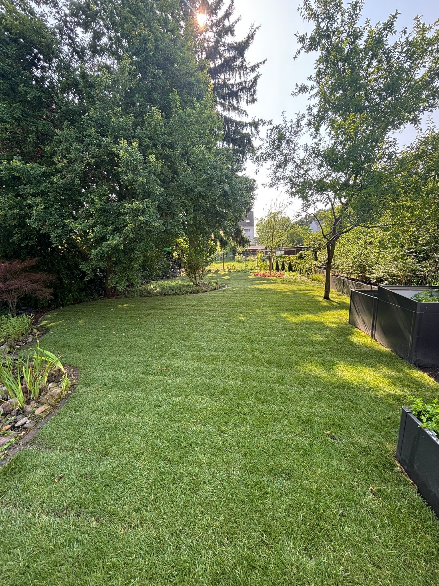 f3333bfc-8b88-43c0-ab75-752de03451a9